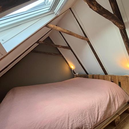 הוילה Peize Tiny House De Smederij מראה חיצוני תמונה