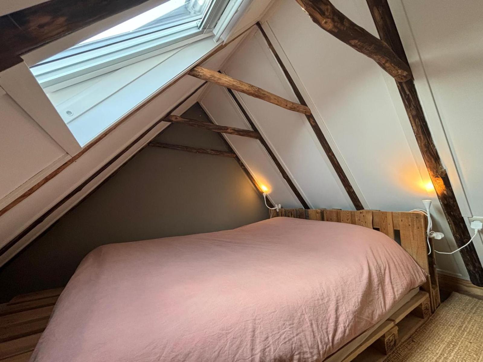 הוילה Peize Tiny House De Smederij מראה חיצוני תמונה